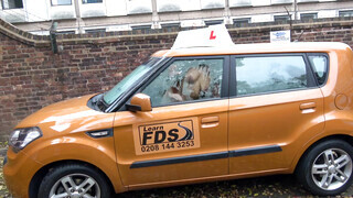 Fake Driving School - Louise Lee imádja a méretes kárót