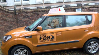 Fake Driving School rá spriccelek a óriási csoki faszodra