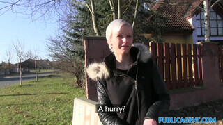 Public Agent - cseh maca kopasz pinácskája