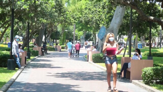 Vadító méretes kannás venezuelai maca